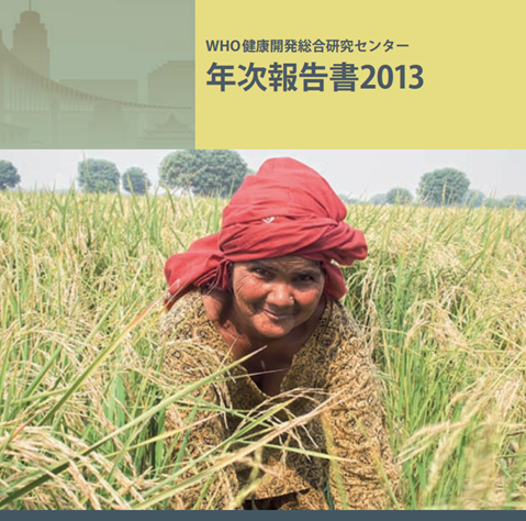 年次報告書2013